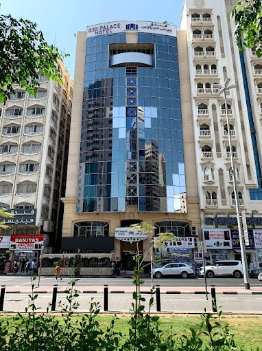 جی اس اس پالاس